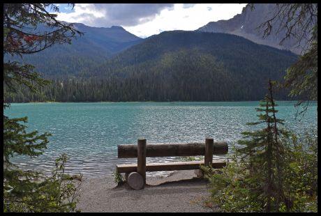 Bench