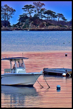Moored Boats