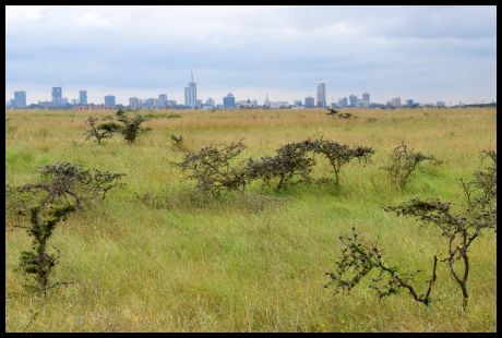 Nairobi National Park