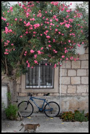 Old Korcula