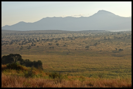 Taica Hills